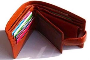 Vastu Tips: अगर आप भी रखते हैं पर्स में ये चीजें, तो हो जाएं सावधान