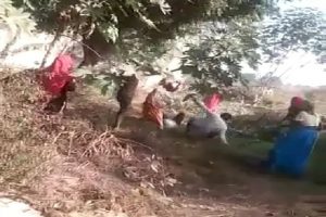 Rajasthan: कानून व्यवस्था बेलगाम, अलवर में पेड़ की टहनी काटने पर युवक को कुल्हाड़ी से मारा