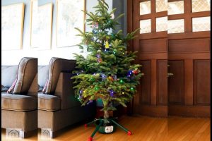 Merry Christmas 2021 (Vastu Tips): घर पर इस दिशा में लगाएं क्रिसमस ट्री, आएगी खुशहाली और दूर होगी नकारात्मक ऊर्जा