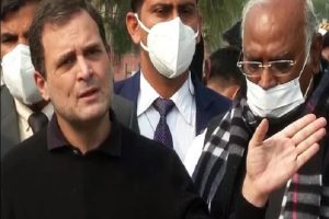 Video: सांसदों के निलंबन पर राहुल गांधी का ‘अल्पज्ञान’, सस्पेंड सांसदों की संख्या की जानकारी नहीं, 2 हफ्ते से विपक्ष कर रहा है विरोध प्रदर्शन
