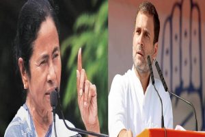 Maharashtra: ममता बनर्जी ने राहुल गांधी पर साधा बड़ा निशाना, बौखला जाएगी कांग्रेस…. “सिर्फ विदेश में रहेगा तो कैसे…”