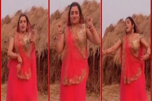 Amrapali Dance on Jugnu Song: बादशाह के ‘जुगनू’ गाने पर आम्रपाली दुबे का धमाकेदार डांस, साड़ी में लगाए ठुमकों ने लूटा फैंस का दिल