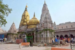 Varanasi News: बाबा का धाम देगा पर्यावरण संरक्षण का संदेश, 5 लाख वर्गफीट में लग रहे हैं रुद्राक्ष, पारिजात, अशोक और बेल के पौधे