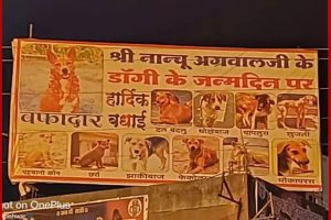 Madhya Pradesh: बैतूल में ‘वफादार’ कुत्ते के जन्मदिन पर लगे होर्डिंग, पोस्टर में खुजली, धोखेबाज, चापलूस और दलबदलू दोस्तों की भी तस्वीरें