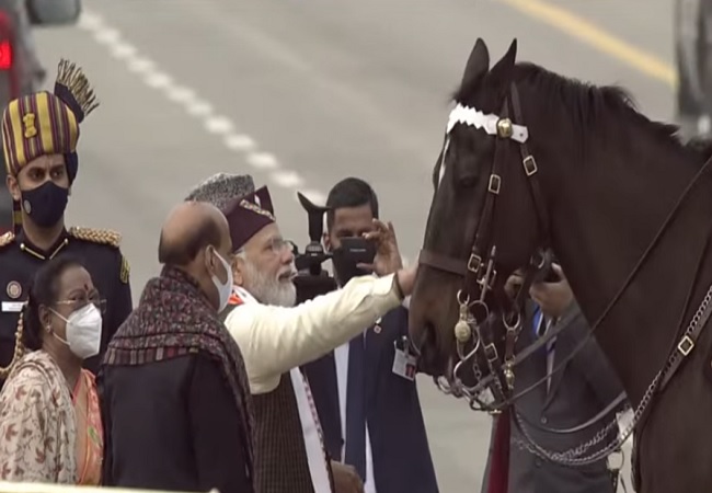 President’s Bodyguard horse Virat retires