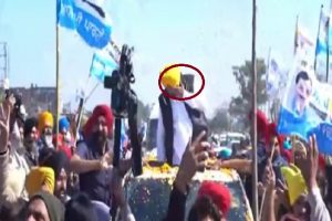 Punjab Polls: AAP के सीएम प्रत्याशी भगवंत मान पर हमला, रोड शो के दौरान किसी ने मार दिया पत्थर (वीडियो)