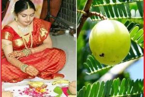 Rangbhari Ekadashi 2022: आज मनाई जा रही आमलकी एकादशी, जानिए कैसे उत्पन्न हुआ आंवले का वृक्ष?