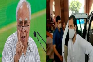 Video: संसद पहुंचे राहुल से सिब्बल के ‘घर की कांग्रेस’ कमेंट पर पूछा सवाल, कन्नी काटते हुए निकले