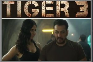 Tiger 3 Release Date Confirm: खत्म हुआ इंतजार, ‘टाइगर 3’ की रिलीज डेट आई सामने, भाईजान बोले- आ रहे हैं हम…