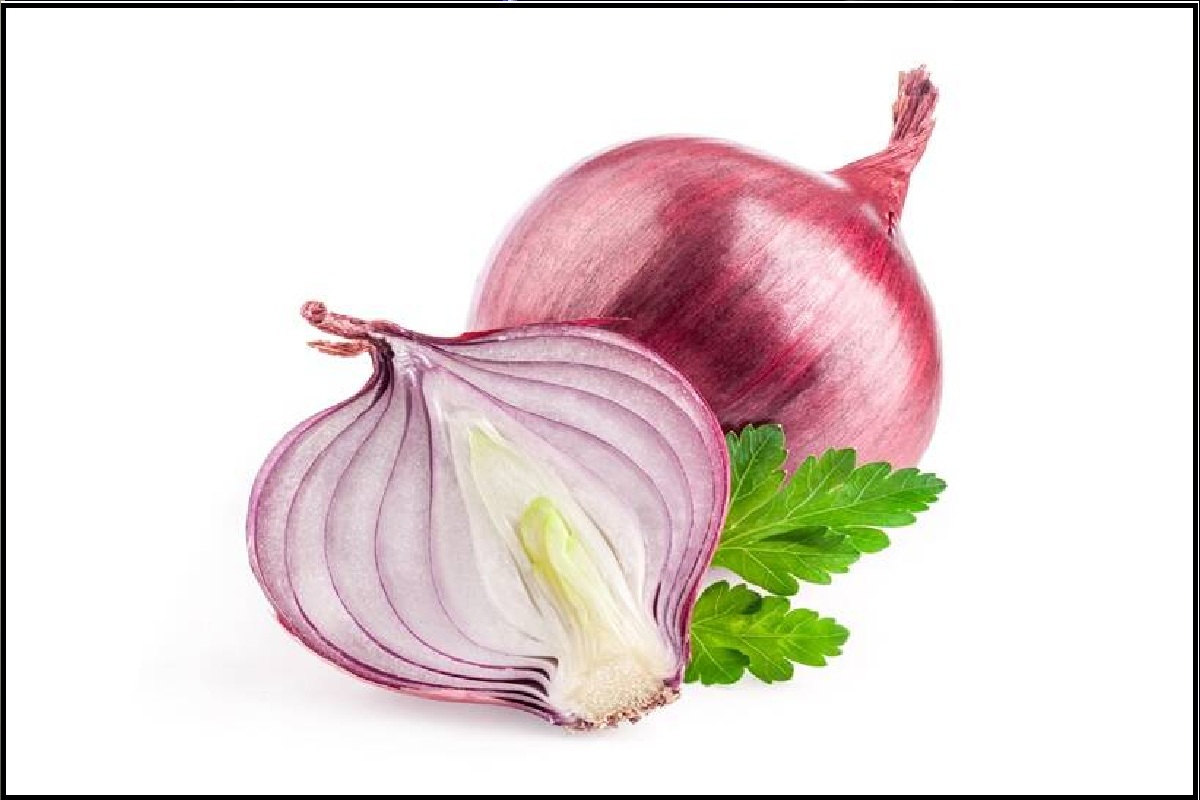 onion 1