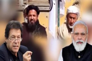 ‘खाने लायक नहीं है पाकिस्तानी गेहूं’, तालिबानी नेताओं का फूटा पाकिस्तान पर गुस्सा, तो भारत के हुए मुरीद
