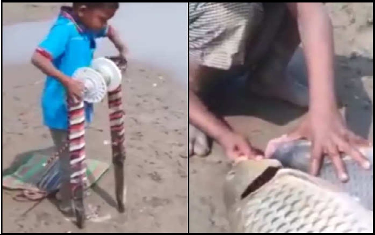 Anand mahindra Video: बच्चे का मछली पड़ना आनंद महिंद्रा को आया पसंद, वीडियो शेयर कर कह दी ये बात