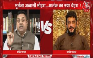 TV Debate: मुर्तजा को लेकर BJP और AIMIM प्रवक्ता भिड़े, पात्रा ने ओवैसी के नेता को याद दिलाई हिंदुओं के नरसंहार की कहानी