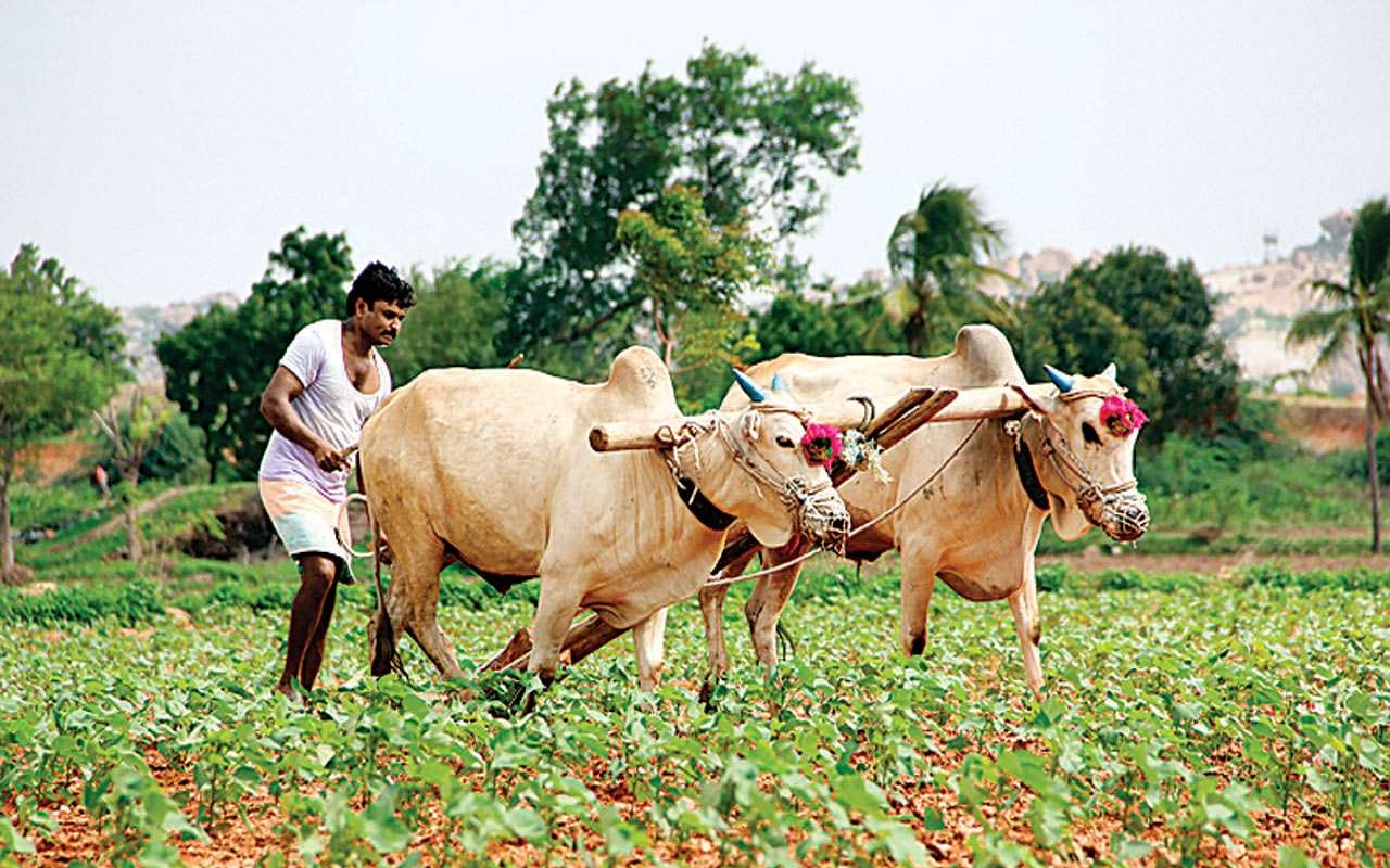 Uttar Pradesh: किसानों के लिए वरदान से कम नहीं है फसल बीमा योजना