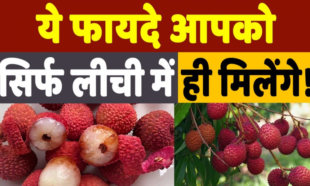 Health Benefits Of Litchi: इस गर्मी जरूर खाएं लीची, वजन कम करने के साथ ही मिलेंगे ये फायदे
