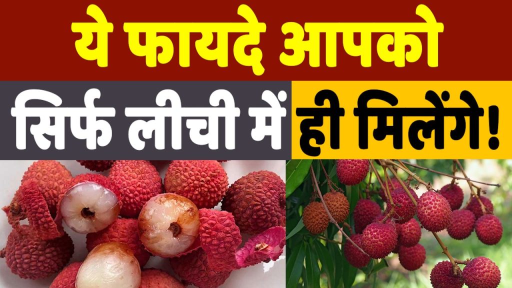 Health Benefits Of Litchi