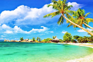 Travel Tips: दक्षिण भारत में स्थित हैं इतने खूबसूरत समुद्र तट, जिन्हें देखकर भूल जाएंगे मालदीव