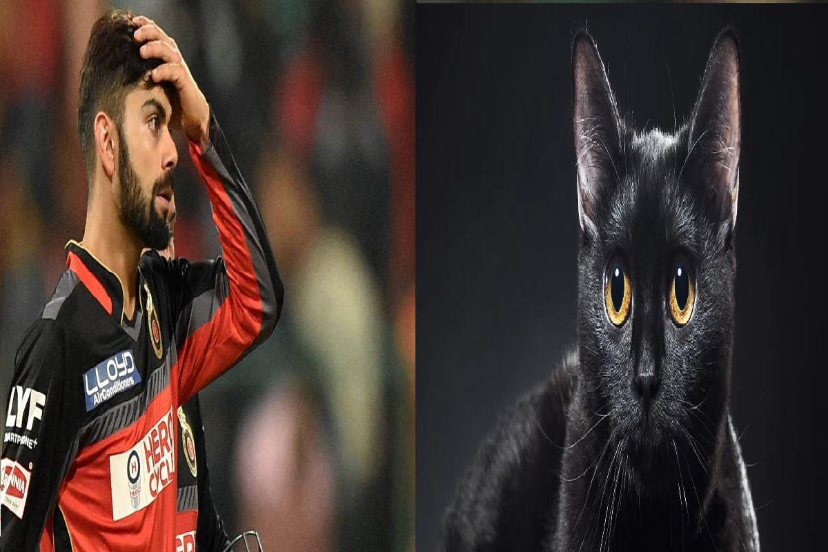 Virat Kohli IPL 2022: काली बिल्ली के साथ क्यों ट्रोल हो रहे विराट, जानिए क्या है मामला?