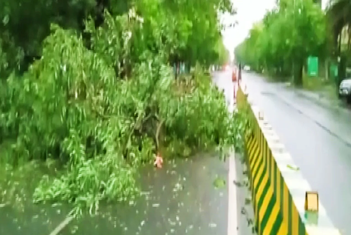 Delhi-NCR Weather Update: दिल्ली-NCR में आंधी के साथ गरजे बादल, कई जगह टूटे पेड़, ट्रैफिक भी हुआ जाम
