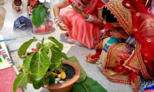 Vat Savitri Vrat 2022: क्यों होती है वट सावित्री पर बरगद की पूजा?, जानिए क्या है इसका वैज्ञानिक महत्व?