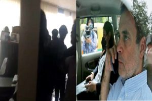 Video: वायनाड में राहुल गांधी के दफ्तर में SFI कार्यकर्ताओं ने की जमकर तोड़फोड़