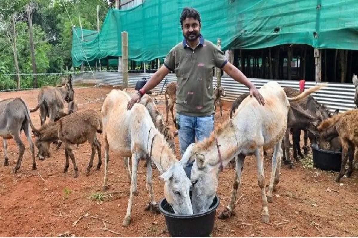 Donkey Milk Farm: IT की जॉब छोड़कर इंजीनियर ने शुरू किया गधी का दूध बेचने का बिजनेस, कमाई जानकर उड़ जाएंगे होश