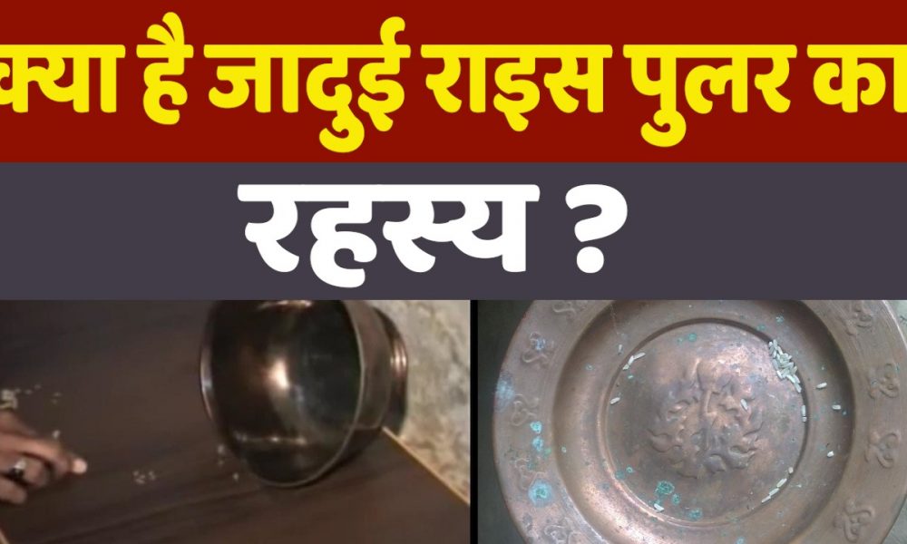 What is Rice Puller: क्या होता है जादूई राइस पुलर, जिसके लालच में फंसकर परिवार के 9 लोगों ने दी जान