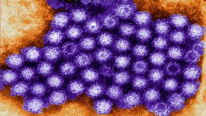 New Virus Reach Kerala: केरल में फैलते कोरोना के बीच अब Norovirus ने भी दी दस्तक, जानिए कितना है खतरनाक