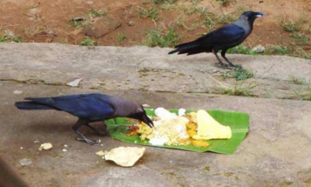 Sarva Pitru Amavasya 2022: कब पड़ रही सर्वपितृ अमावस्या, जानिए इसका महत्व और पूजा-विधि?