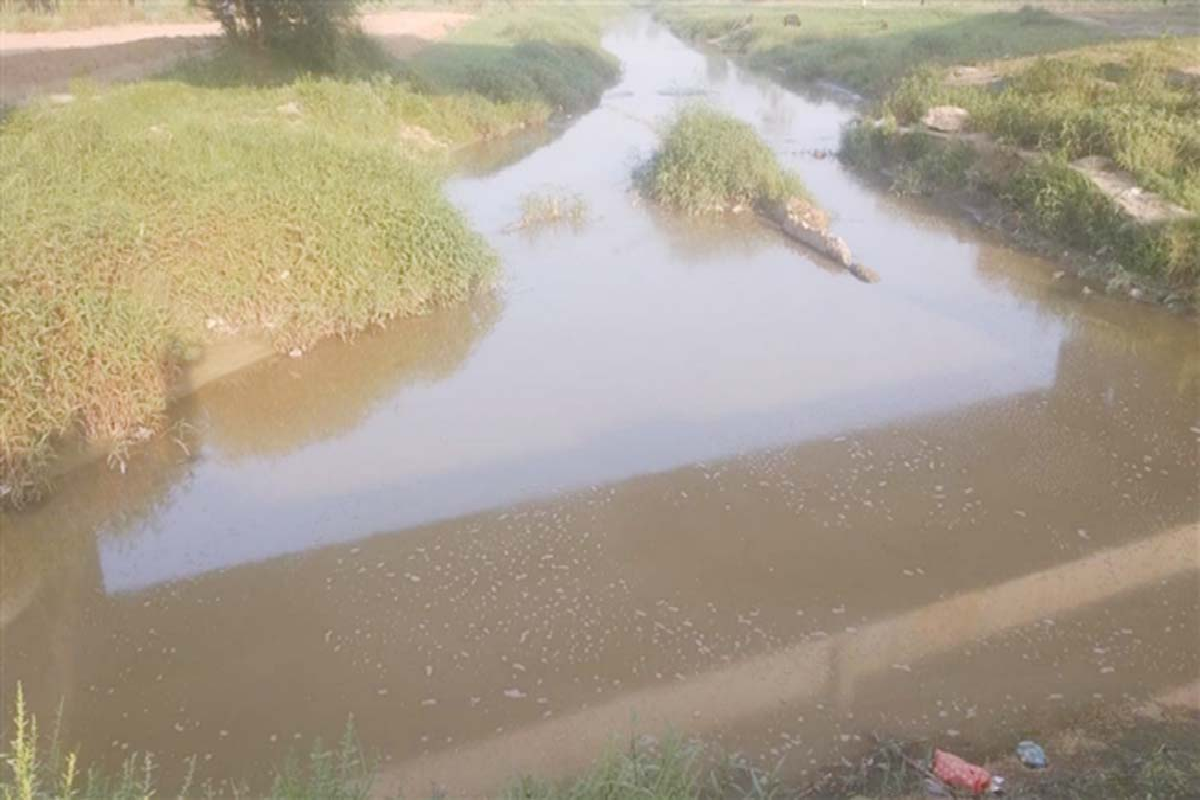 Uttar Pradesh: योगी सरकार के आह्वान पर पौराणिक नदियों को मिल रह नया जीवन,  जिला प्रशासन और जनसहयोग से लुप्त हो चुकी नदीयों हो रही पुनर्जीवित