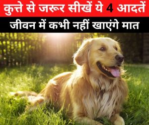 Chanakya Niti: कुत्ते से जरूर सीखें ये 4 आदतें, जीवन में कभी नहीं खाएंगे मात