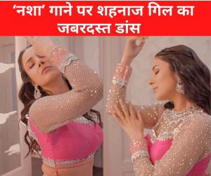 Shehnaaz Gill Latest Video: ‘नशा’ गाने पर शहनाज गिल ने किया ऐसा जबरदस्त डांस, फैंस बोले- लूट ली महफिल