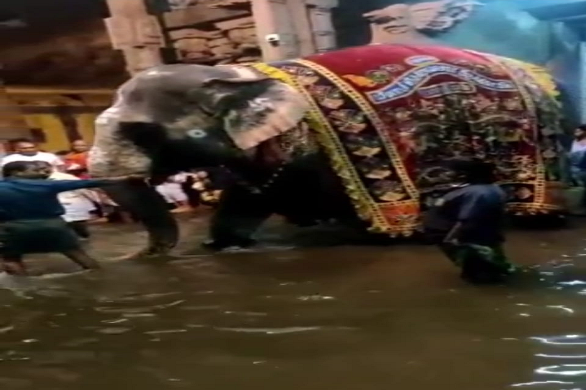 Tamilnadu: मीनाक्षी अम्मन मंदिर में घुसा बाढ़ का पानी, फंसे हाथी को बड़ी मशक्कत के बाद निकाला गया बाहर, देखें वीडियो