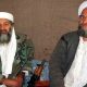 osama bin laden and ayman al zawahiri
