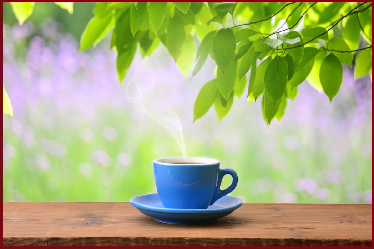 Health Tips in Hindi: रोज पिएं इस पत्ते की चाय, वजन होगा कम और चेहरे पर आएगा निखार