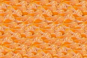 Brain Challenge: क्या आप भी पहेलियों को सुलझाने में दिलचस्पी रखते हैं, तो बताइए तस्वीर में हजारों संतरों के बीच खरबूज कहां हैं?