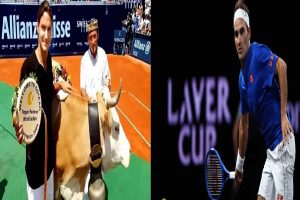 Roger Federer: गौ माता के परम भक्त हैं रोजर फेडरर, तभी तो भेंट में मिली गाय का नाम ‘गंगा’ रखा था