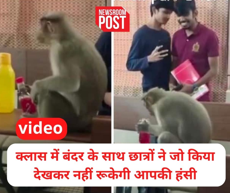 Funny Monkey Video: क्लास के अंदर आ घुसा एक बंदर, फिर छात्रों ने की जमकर मस्ती, वीडियो देख आप भी नहीं रोक पाएंगे अपनी हंसी