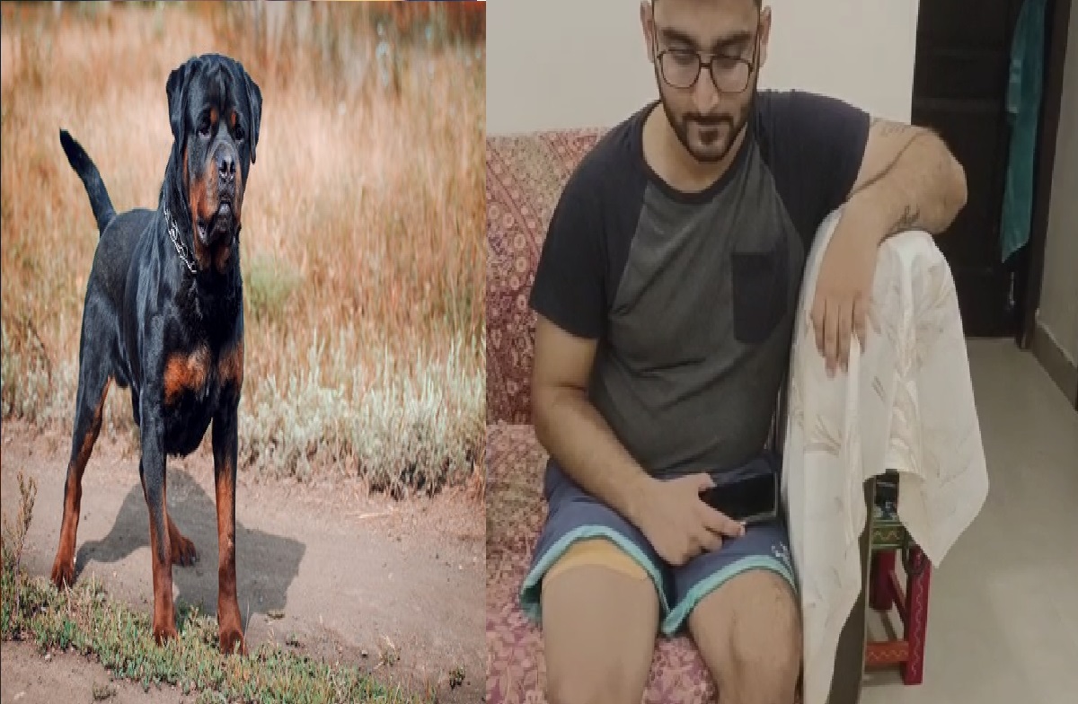 Ghaziabad: पिटबुल के बाद अब रॉटवेलर ब्रीड कुत्ते का खौफ,  22 मीटर तक घसीट कर ले गया कुत्ता, पीड़ित शख्स के पैर की हुई सर्जरी