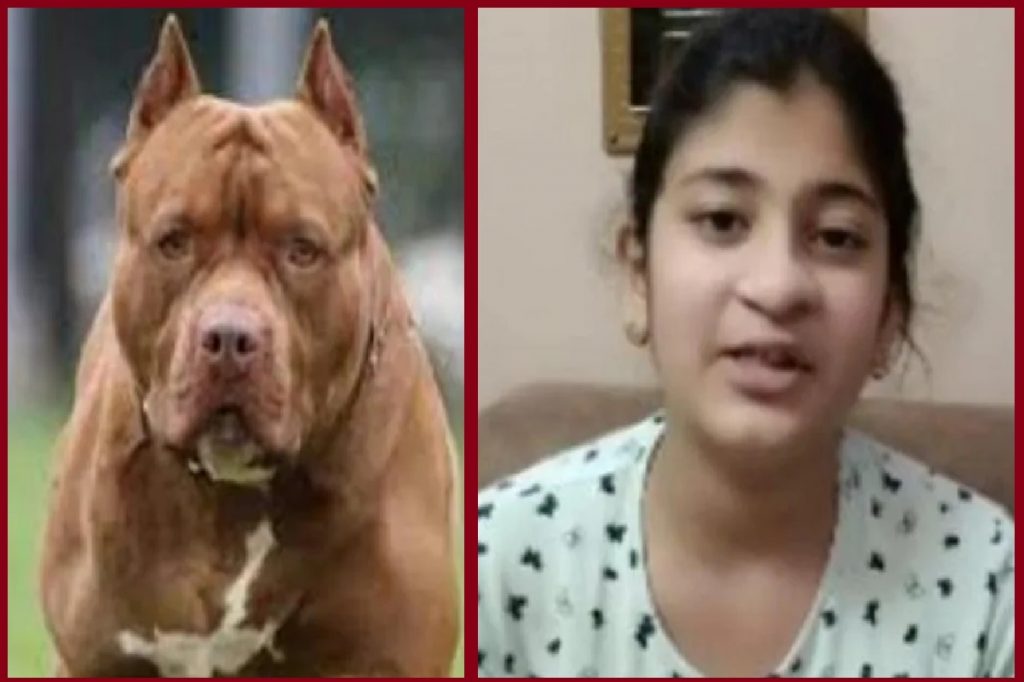 Pitbull Attack in Ghaziabad