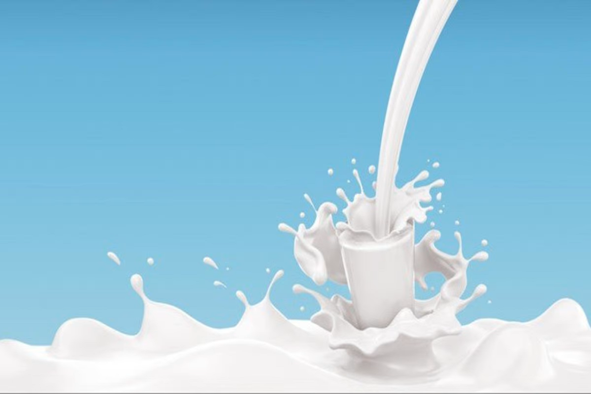 Milk Price Hike: त्योहारी सीजन पर महंगाई का झटका, अमूल ने फिर बढ़ाए दूध के दाम, लोगों ने ऐसे दिए रिएक्शन