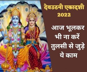 Dev Uthani Ekadashi 2022: देवउठनी एकादशी पर भूलकर भी ना करें तुलसी से जुड़े ये काम, वरना झेलना पड़ेगा नुकसान