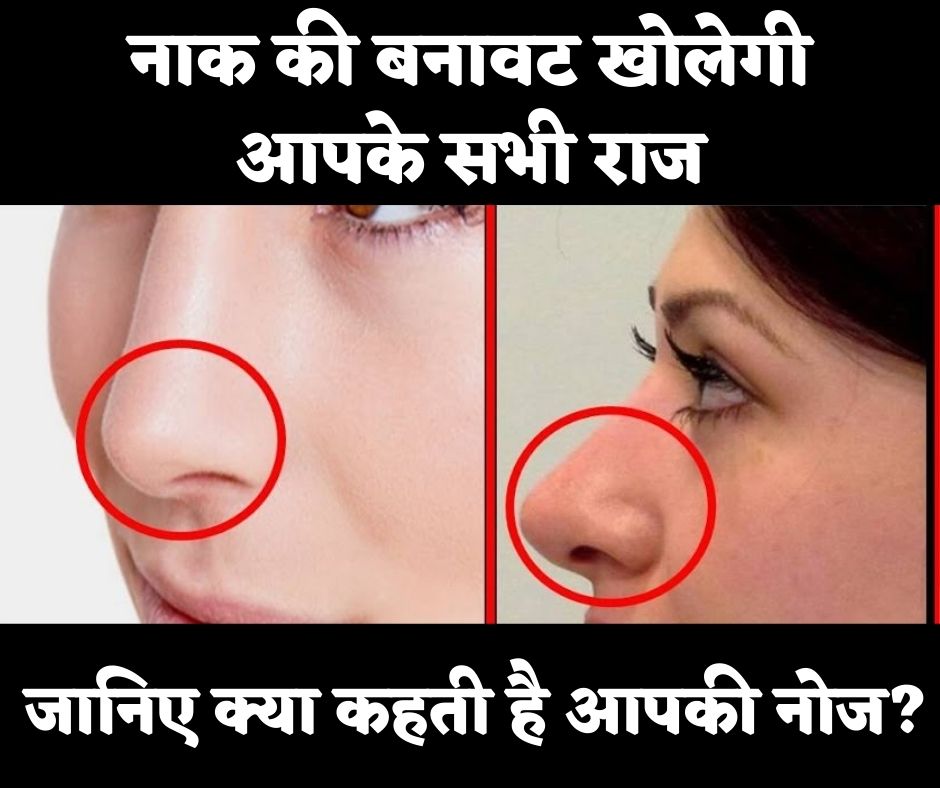 Samudrik Shastra About Nose: नाक की बनावट खोलेगी आपके सभी राज, जानिए क्या कहती है आपकी नोज?