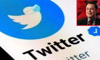 elon musk and twitter blue tick