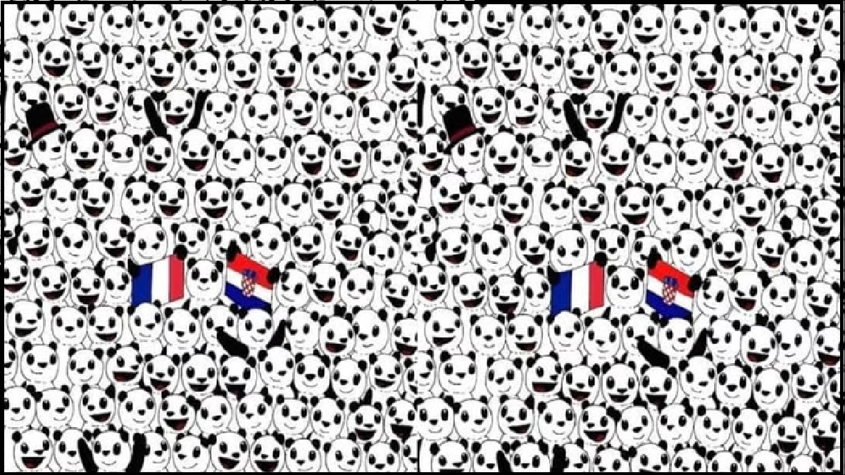 Brain Challenge: इस ऑप्टिकल इमेज में पांडा के बीच गुम है फुटबॉल, जिसे खोजने में 99 प्रतिशत लोग हुए फेल