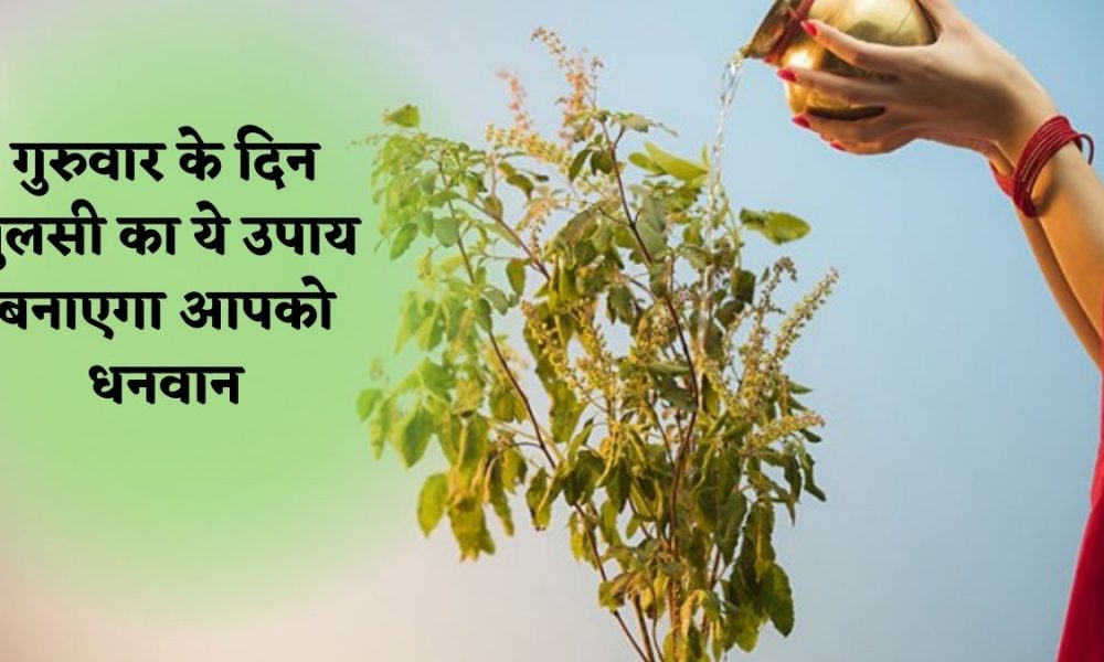 Guruwar Ke Upay: गुरुवार के दिन तुलसी का ये उपाय बनाएगा आपको धनवान, मां लक्ष्मी और भगवान विष्णु का भी मिलेगा आशीर्वाद