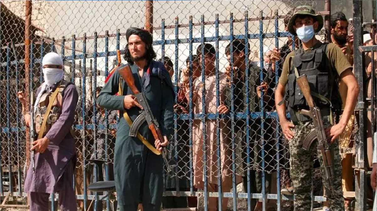 Pak-Taliban Clash In Chaman: चमन की सीमा पर पाक सेना और तालिबान के बीच जमकर गोलाबारी, 10 लोगों की मौत, 40 के करीब घायल