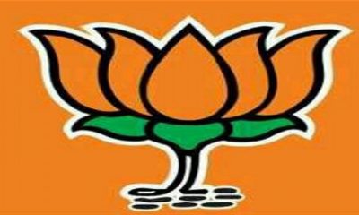 bjp symbol
