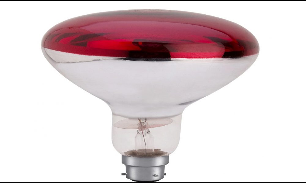Heat Lamp: इस कड़कती ठंड में घर लाए यह शानदार सस्ता हीटर, जो सर्दी में भी देगा आपको गर्मी का एहसास