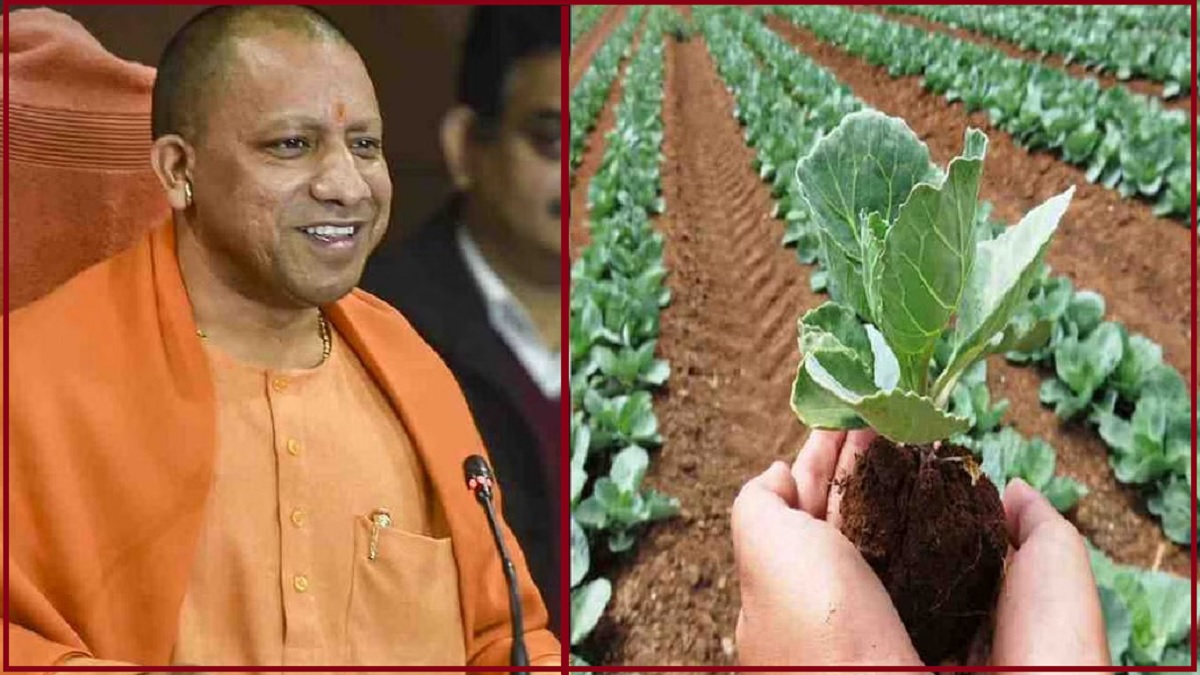 Uttar Pradesh: यूपी को जैविक खेती के लिहाज से देश का हब बनाना CM योगी की मंशा